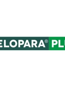 MeloPara-Plus