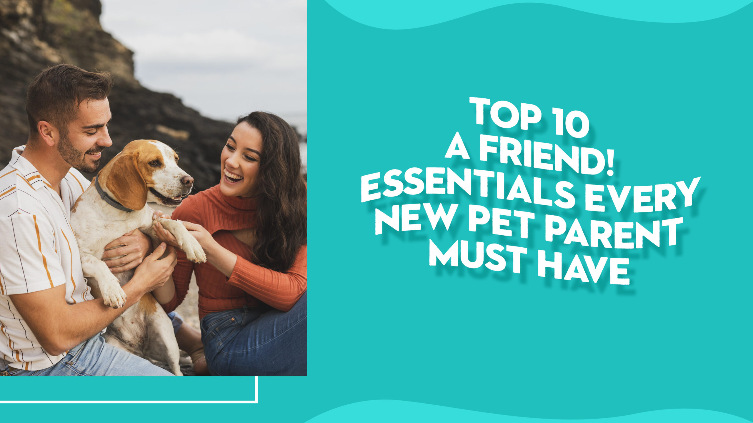 pet supplies for beginners