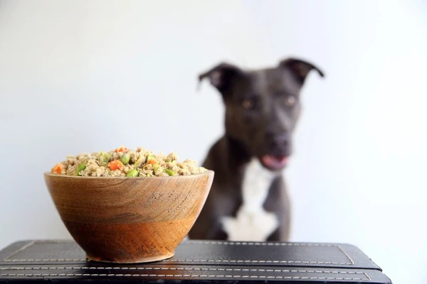 Safe Human Foods for Pets