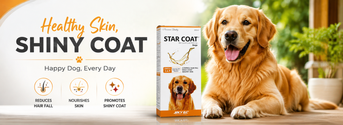 dog hair fall