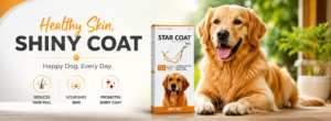 dog hair fall