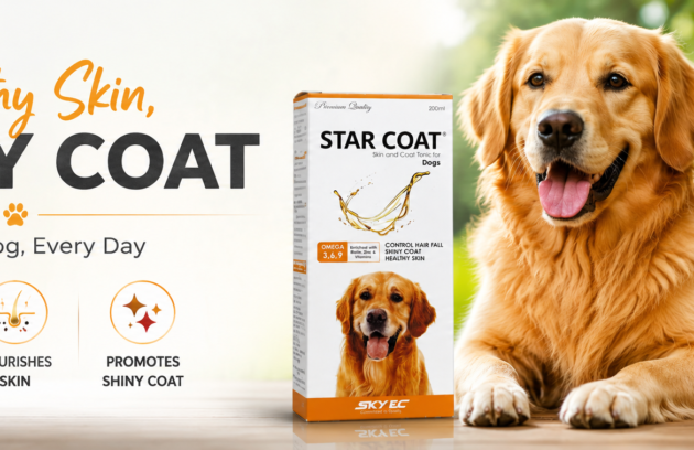 dog hair fall