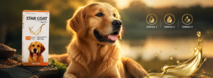 Dog Skin and Coat Care
