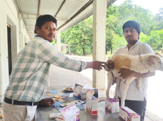 WhatsApp Image 2026-07-06 at 12.05.35 PM